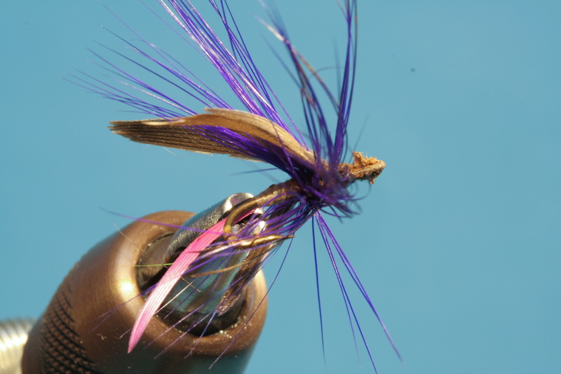Brandner_alteFliegen-3