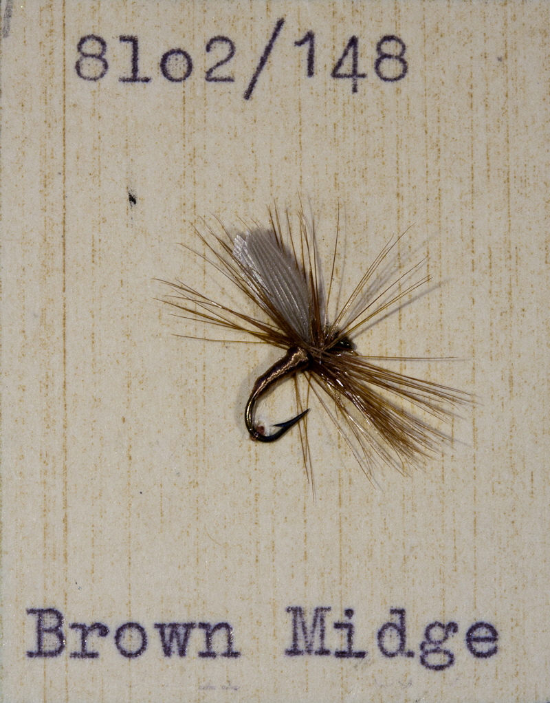 Brown Midge Brown Midge
