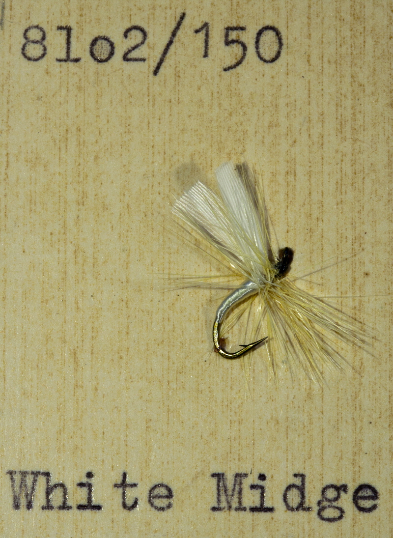 White Midge White Midge