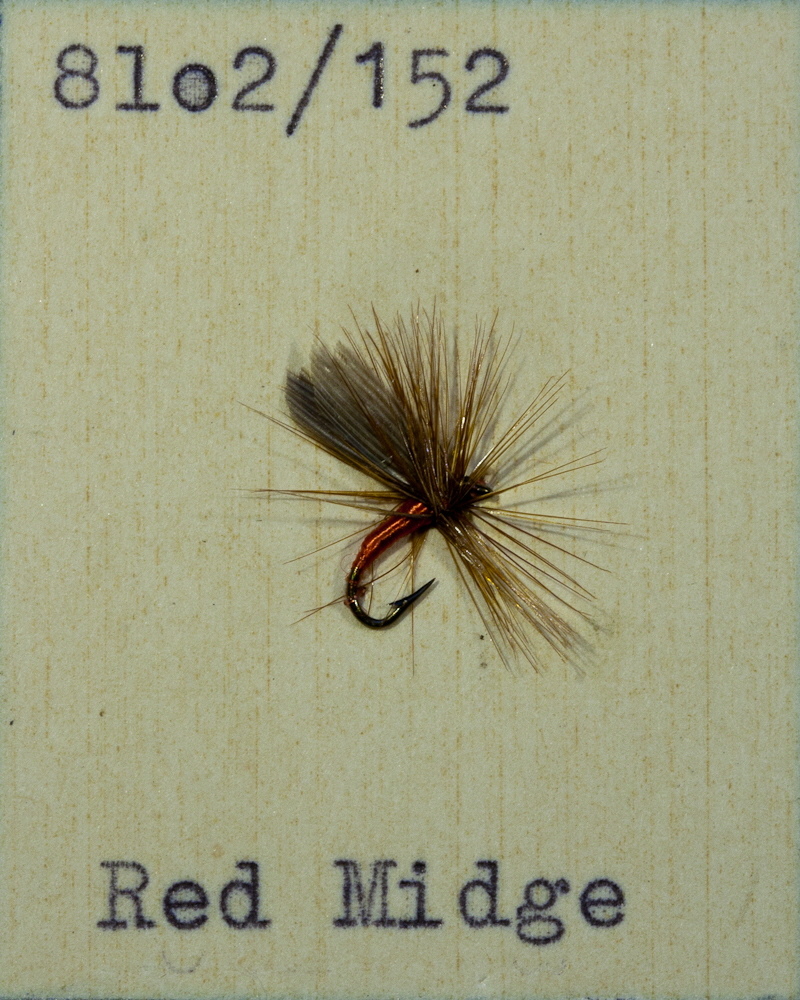 Red Midge Red Midge