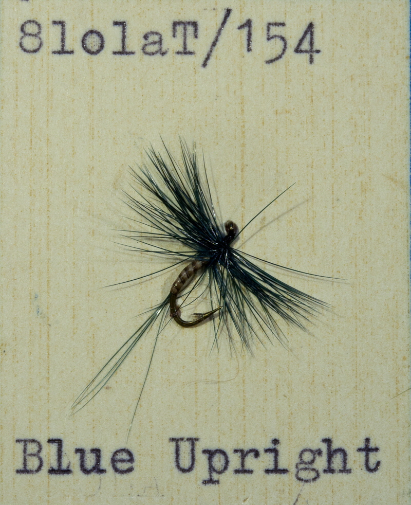 Blue Upright Blue Upright