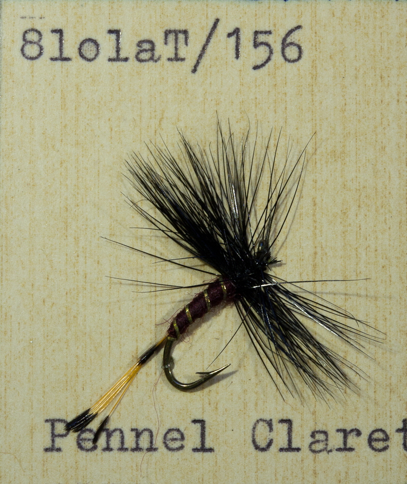 Claret Pennel Claret Pennel