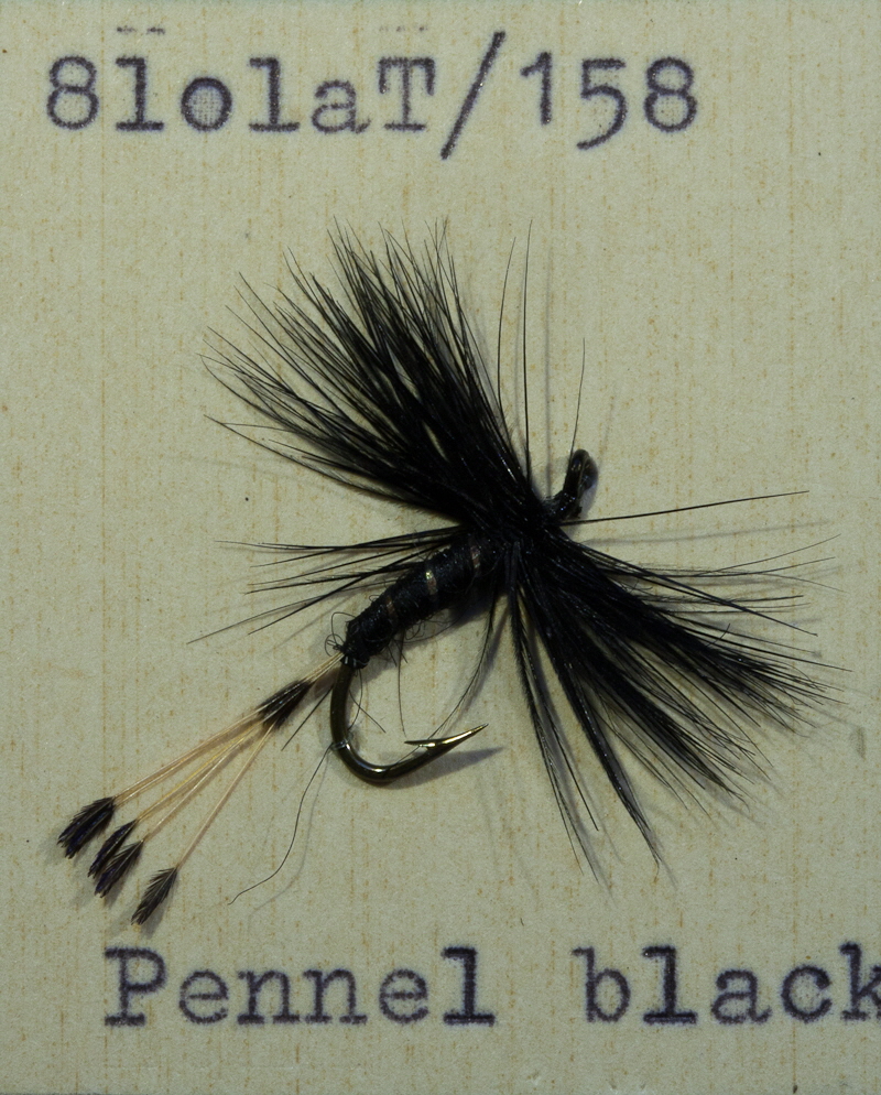 Black Pennel Black Pennel