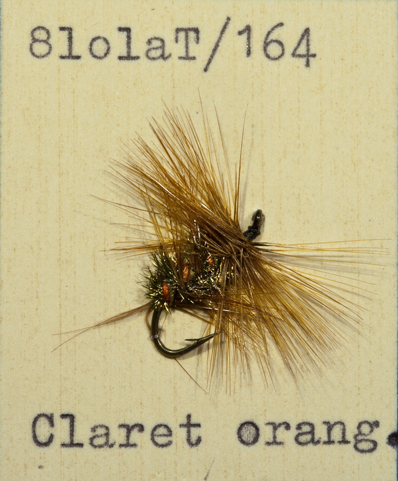 Orange Bumble Orange Bumble