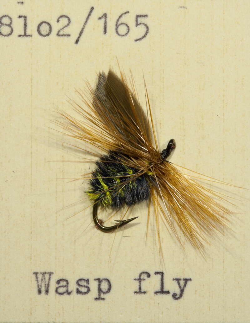 Wasp Fly Wasp Fly