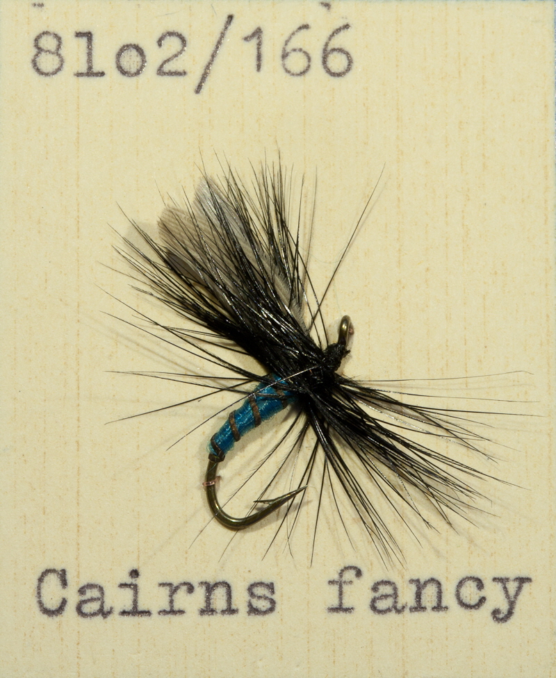 Cairns Fancy Cairns Fancy