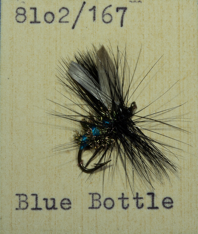 Blue Bottle Blue Bottle
