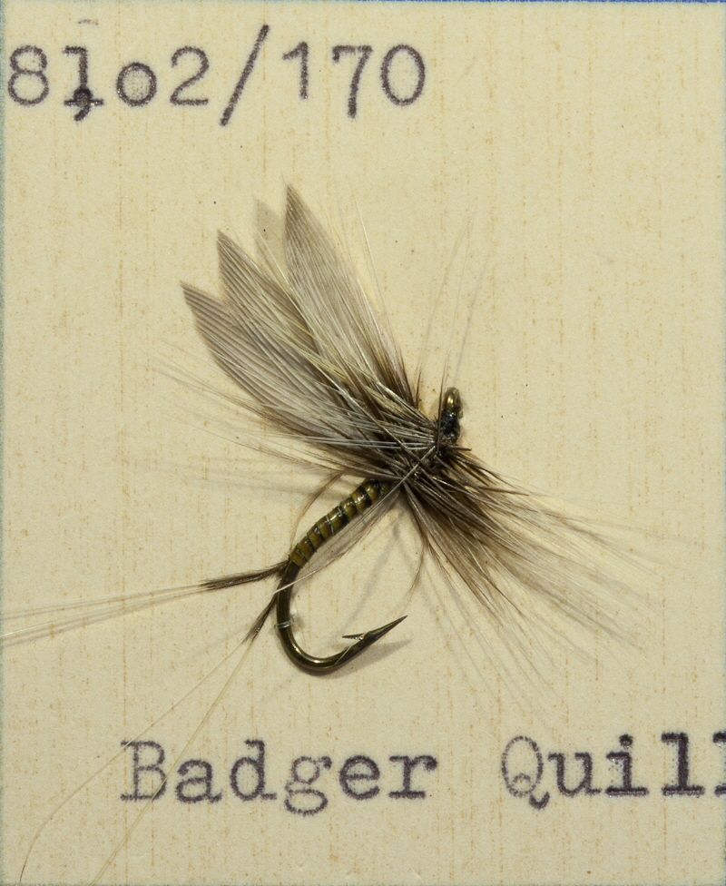 Badger Quill Badger Quill