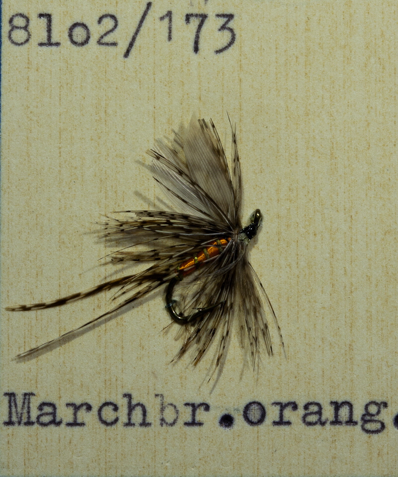 Marchbrown orange Marchbrown orange