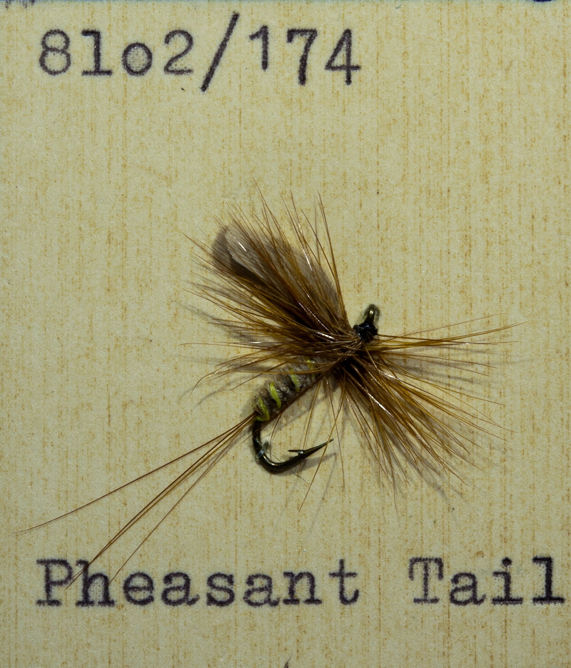 Pheasant Tail Pheasant Tail