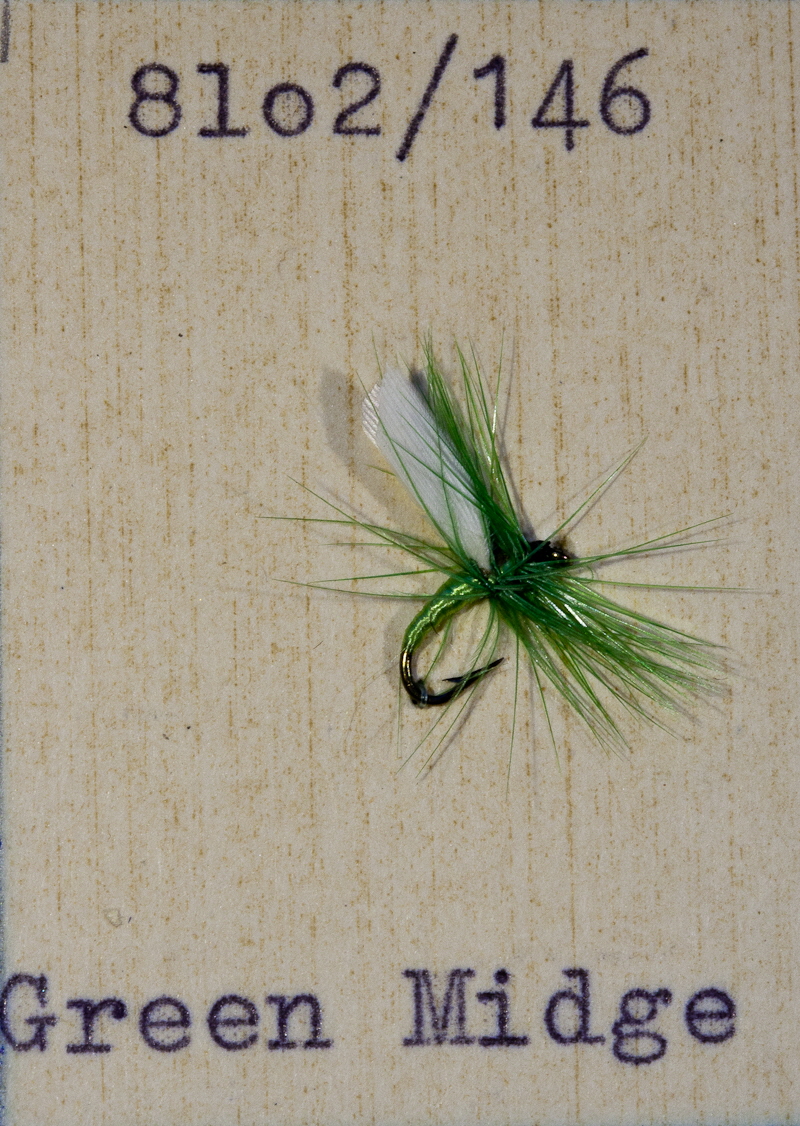 Green Midge Green Midge