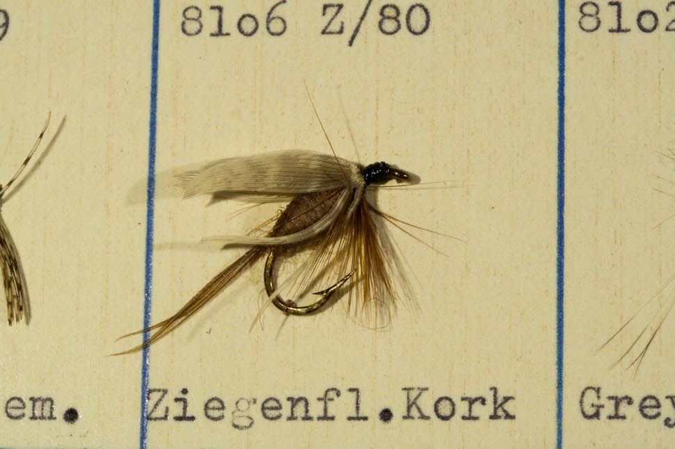 Ziegenfliege Kork