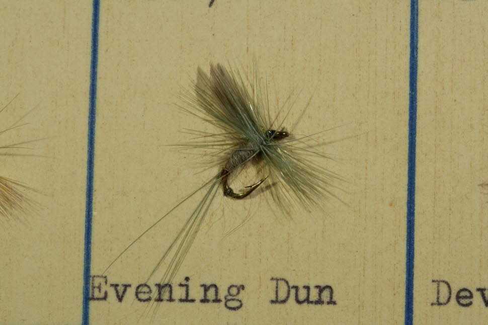 Evening Dun