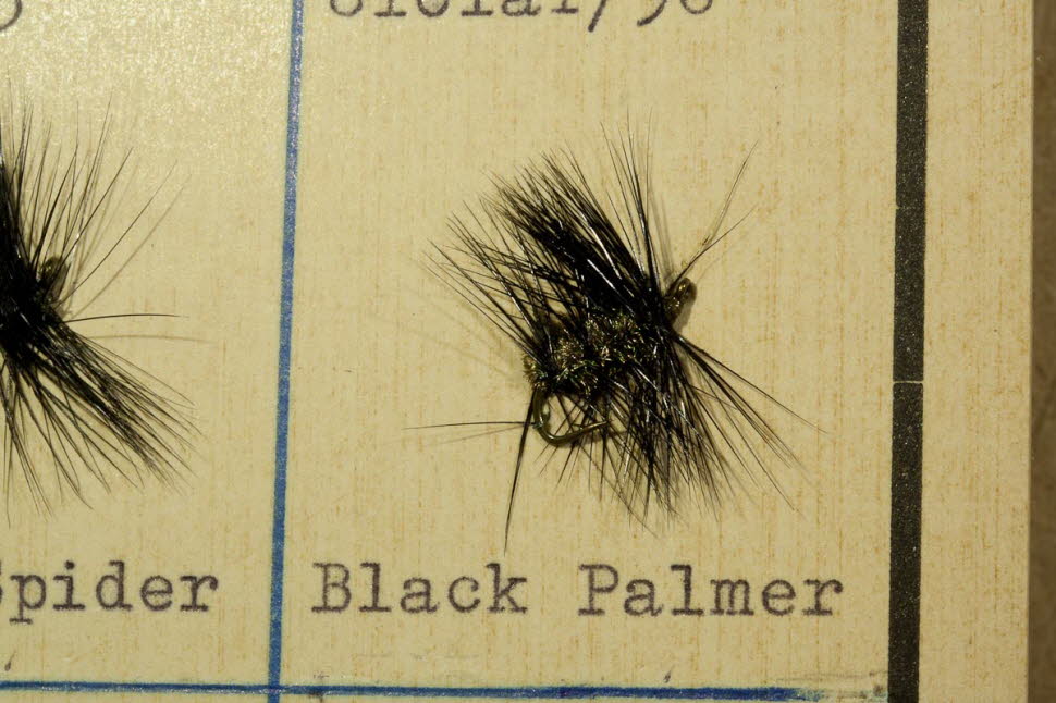 Black Palmer