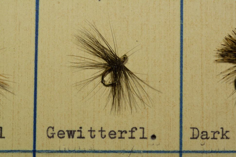 Gewitterfliege