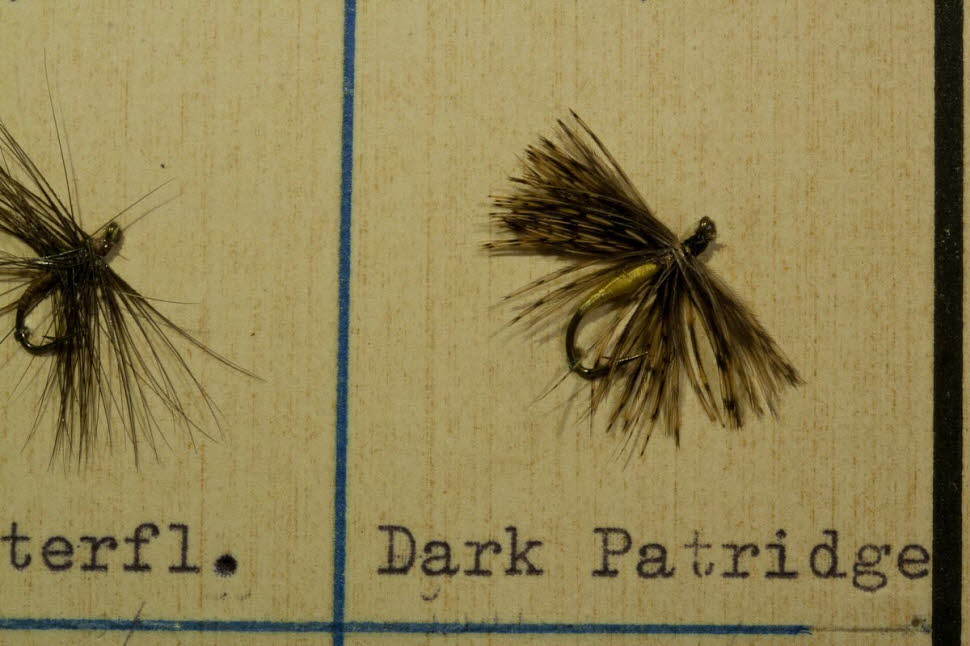 Dark Partridge