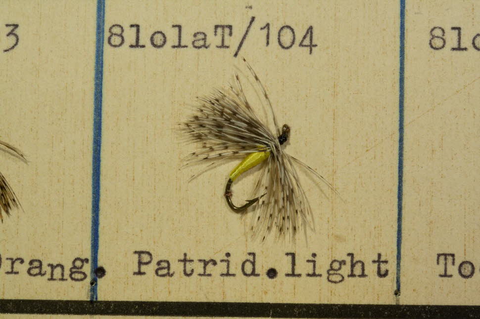 Partridge light