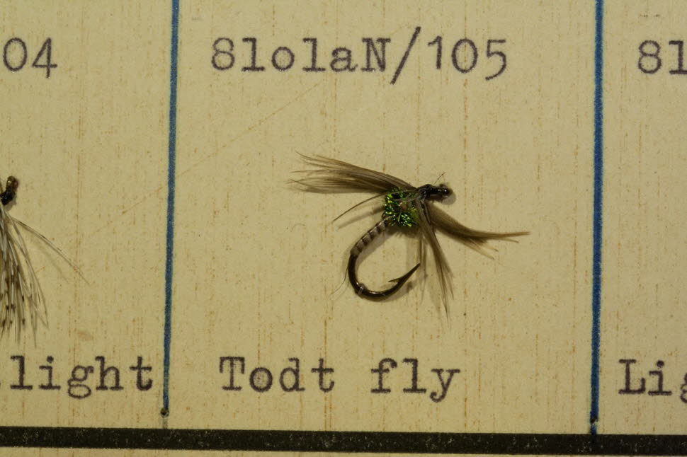 Todt Fly