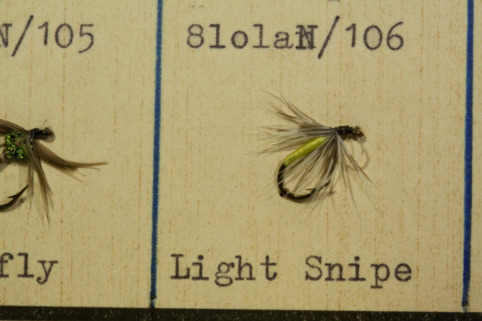Light Snipe