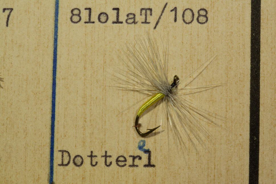 Dotterl