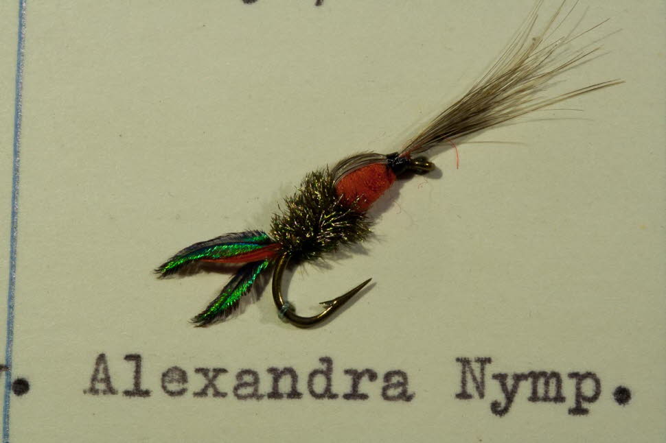 Alexandra Nymphe