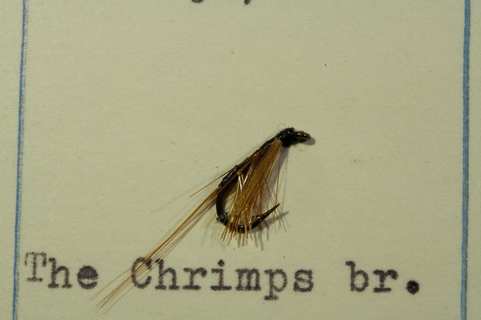 The Chrimps brown