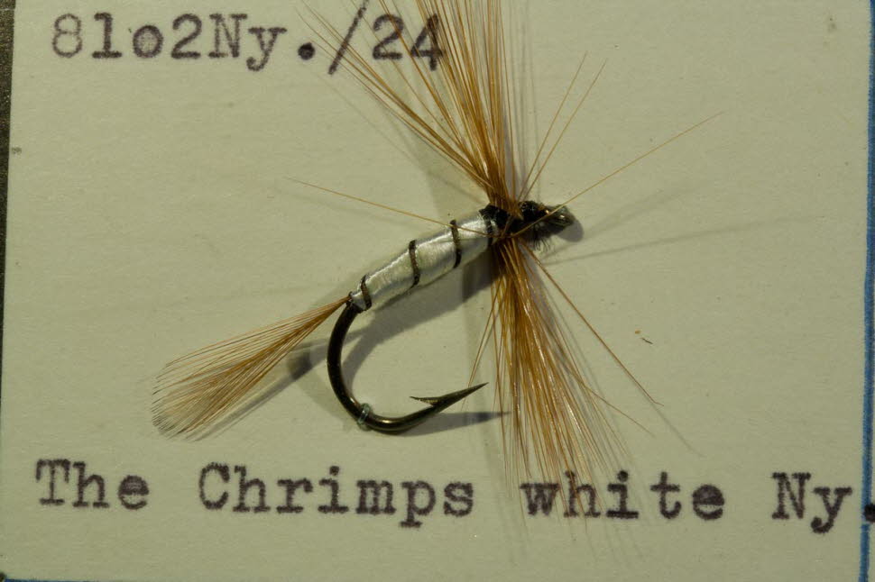 The Chrimps white