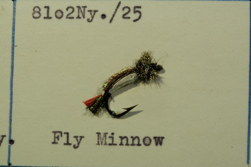 Fly Minnow