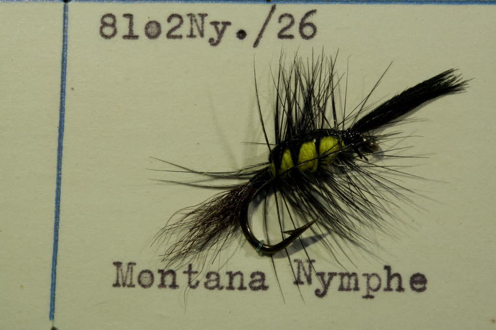 Montana-Nymphe