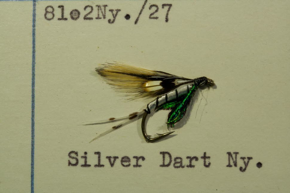 Silver Dart Nymphe