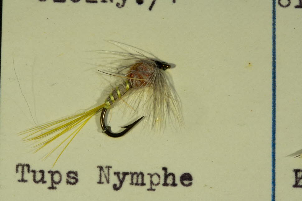 Tups Nymphe