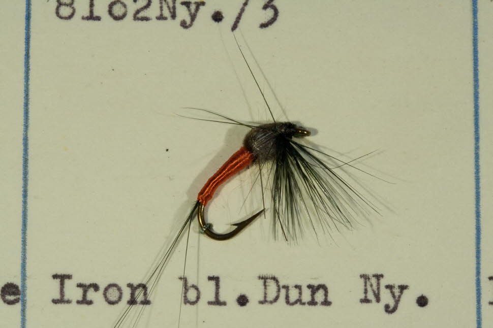 Iron Blue Dun Nymphe