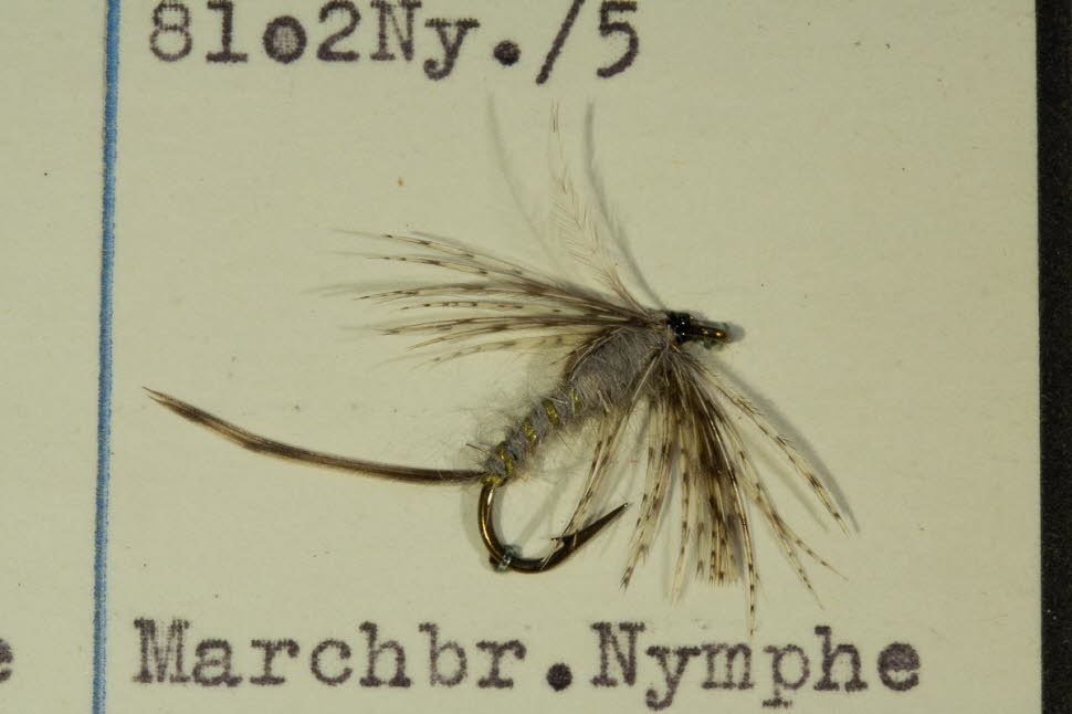 Marchbrown Nymphe