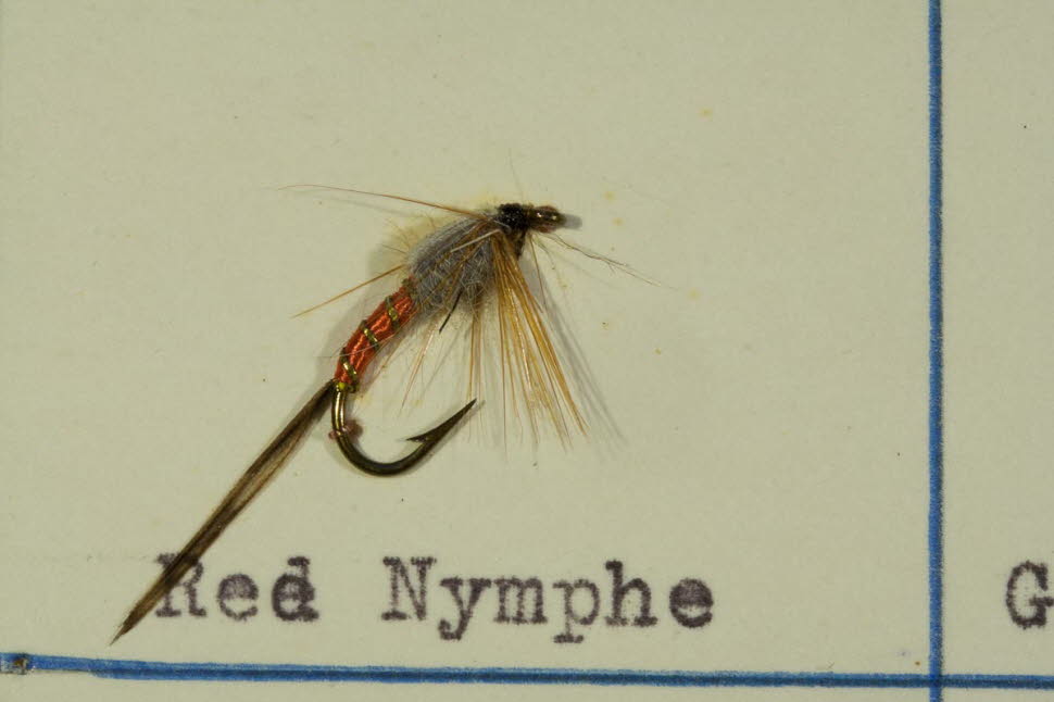 Red Nymphe