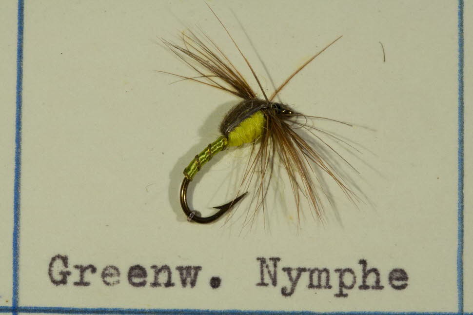 Greenwell's Nymphe