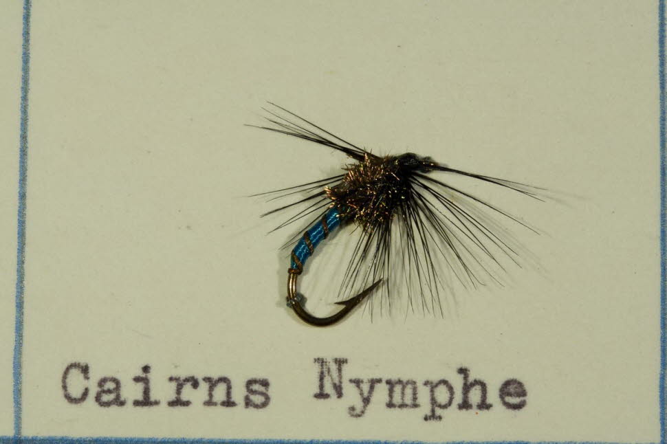 Cairns Nymphe
